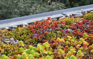 the cost of Ackton green roof installation