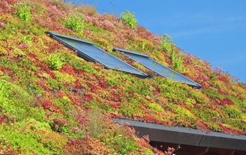 Ackton living roof systems